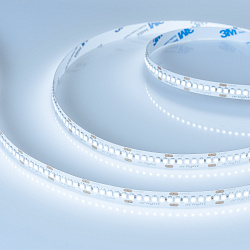 Светодиодная лента RT-A240-10mm 24V Cool 8K (19.2 W/m, IP20, 3528, 5m) (Arlight, 19.2 Вт/м, IP20)