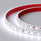 Светодиодная лента RTW 2-5000PGS 12V Cool 2x (5060, 300 LED, LUX) (Arlight, 14.4 Вт/м, IP67) Lednikoff