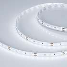 Светодиодная лента MICROLED-5000L 24V White6000 8mm (2216, 120 LED/m, LUX) (Arlight, 6.5 Вт/м, IP20) Lednikoff
