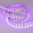 Светодиодная лента RT 2-5000 24V RGB-White 2x2 (5060, 720 LED, LUX) (Arlight, 32 Вт/м, IP20) Lednikoff