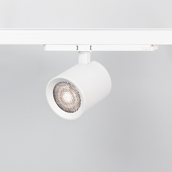 Сетчатый фильтр с посадочным кольцом LGD-NIKA-HCR-R100 (WH-BK) (Arlight, Металл)