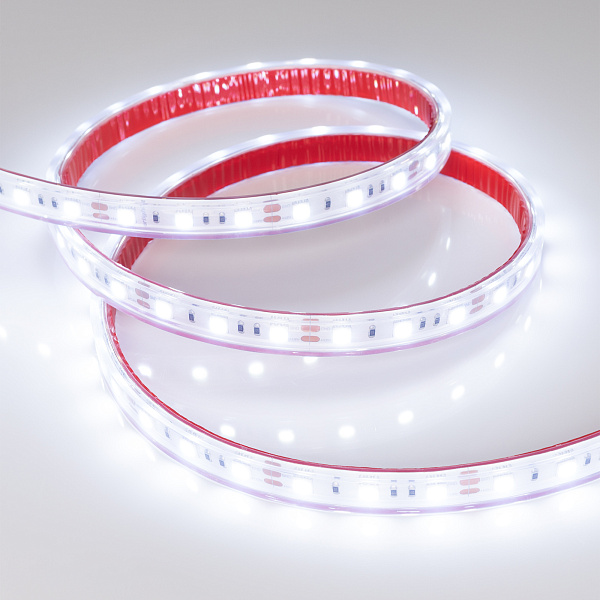 Светодиодная лента RTW 2-5000PS 12V Cool 8K 2x (5060, 300 LED, LUX) (Arlight, 14.4 Вт/м, IP67) Lednikoff