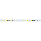 Светодиодная лента IC-A60-8mm 24V Warm3000 (4.8 W/m, IP20, 2835, 50m) (Arlight, стабилизированная) Lednikoff