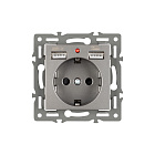 Механизм розетки с USB зарядкой SCT-MUAA-PL-GR (250V, 16A) (Arlight, -) Lednikoff