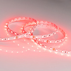 Светодиодная лента RT 2-5000 24V Red 2x (5060, 300 LED, LUX) (Arlight, 14.4 Вт/м, IP20) Lednikoff