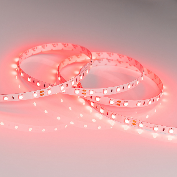 Светодиодная лента RT 2-5000 24V Red 2x (5060, 300 LED, LUX) (Arlight, 14.4 Вт/м, IP20) Lednikoff
