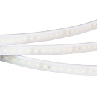 Светодиодная лента RTW 2-5000PW 24V White6000 2x (3528, 600 LED, LUX) (Arlight, 9.6 Вт/м, IP66) Lednikoff