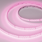 Светодиодная лента RT-AM360-12mm 24V RGBW-MIX (24 W/m, IP20, 2835/2210, 5m) (Arlight, -) Lednikoff