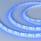 Светодиодная лента герметичная RTW-SE-A120-8mm 12V Blue (9.6 W/m, IP65, 2835, 5m) (Arlight, 9.6 Вт/м, IP65) Lednikoff