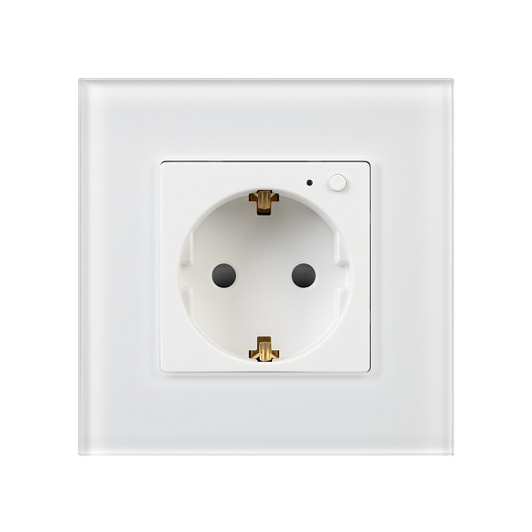 Розетка электрическая с Zigbee управлением SCT-OMALI-EUZB1-PL-WH (240V, 16A, Zigbee) (Arlight, -) Lednikoff
