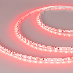 Светодиодная лента RT-A120-5mm 24V Red (9.6 W/m, IP20, 2835, 5m) (Arlight, 9.6 Вт/м, IP20)