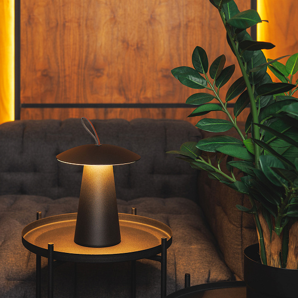 Светильник SP-PATIO-TAB-2W Warm3000 (BK, 127 deg) (Arlight, IP54 Металл, 2 года) Lednikoff