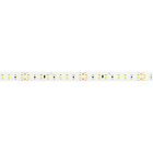 Светодиодная лента FITOLUX-SE-A144-10mm 24V Day5000-Red (14 W/m, IP65, 2835, 5m) (Arlight, 14 Вт/м, IP65) Lednikoff