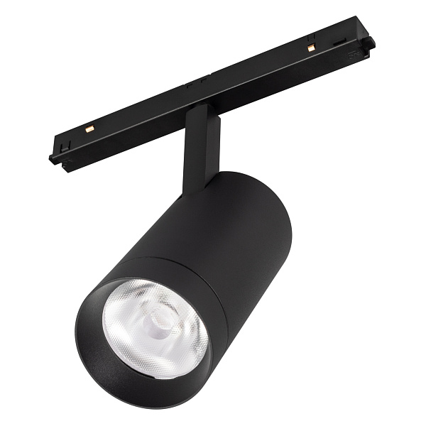 Светильник MAG-FLEX-SPOT-R65-20W Day4000 (BK, 24 deg, 48V) (Arlight, IP20 Металл, 5 лет)