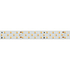 Светодиодная лента RT 2-5000 24V Warm2700 3x2 (2835, 1260 LED, CRI98) (Arlight, 27 Вт/м, IP20) Lednikoff