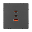 ARL NOBE USB Розетка тип А+С+С софт-тач серый базальт SCT-MUACC-SFPL-FC-GR (65W, QC3) (Arlight, -) Lednikoff