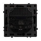 Механизм розетки с USB зарядкой SCT-NOBE-MUAC-SFPL-BK (230V, 16A) (Arlight, Черный оникс) Lednikoff