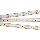Светодиодная лента герметичная RTW-PS-B60-13mm 24V Warm3000 (14.4 W/m, IP67, 5060, 5m) (Arlight, 14.4 Вт/м, IP67) Lednikoff