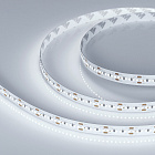Светодиодная лента MICROLED-5000HP 24V White5500 10mm (2216, 300 LED/m, LUX) (Arlight, 21.6 Вт/м, IP20) Lednikoff