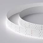 Светодиодная лента RT 2-2500 24V White6000 5x2 (2835, 875 LED, LUX) (Arlight, 36 Вт/м, IP20) Lednikoff