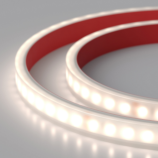 Светодиодная лента RTW 2-5000PW 24V White6000 2x (3528, 600 LED, LUX) (Arlight, 9.6 Вт/м, IP66) Lednikoff