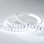 Светодиодная лента ARL-50000PC-220V White6000 (3056, 72 LED/m, IP65) (Arlight, 14 Вт/м, IP65) Lednikoff