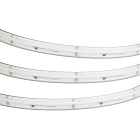 Светодиодная лента герметичная DMX-COB-PS-X1008-21mm 24V RGB-PX126 (11 W/m, IP67, CSP, 5m) (Arlight, -) Lednikoff