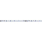Светодиодная лента RT-10000 24V Day4000 (3528, 60 LED/m, 10m) (Arlight, 4.8 Вт/м, IP20) Lednikoff