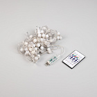 Светодиодная гирлянда ARD-BEAD-HOME-10000-CLEAR-100LED RGB (5V, USB, ПДУ) (Ardecoled, IP20 Пластик) Lednikoff