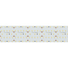 Светодиодная лента S2-2500 24V Warm 3000K 59mm (2835, 420 LED/m, LUX) (Arlight, 30 Вт/м, IP20) Lednikoff