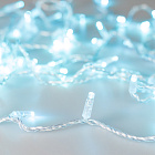 Светодиодная гирлянда ARD-STRING-CLASSIC-10000-CLEAR-100LED-STD Azure (230V, 7W) (Ardecoled, IP65) Lednikoff