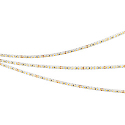 Светодиодная лента MICROLED-M266-4mm 24V White6000 (12 W/m, IP20, 2216, 5m) (Arlight, узкая)