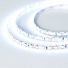 Светодиодная лента RT 2-5000 24V Cool 8K 5mm 2x (3528, 600 LED, LUX) (Arlight, 9.6 Вт/м, IP20) Lednikoff