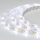 Светодиодная лента герметичная RTW-SE-B60-12mm 12V White-MIX (14.4 W/m, IP65, 5060, 5m) (Arlight, Изменяемая ЦТ) Lednikoff