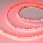 Светодиодная лента RT-AM360-12mm 24V RGBW-MIX (24 W/m, IP20, 2835/2210, 5m) (Arlight, -) Lednikoff
