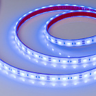 Светодиодная лента RTW 2-5000PGS 12V Blue 2x (5060, 300 LED, LUX) (Arlight, 14.4 Вт/м, IP67) Lednikoff