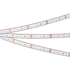 Светодиодная лента герметичная RTW-PFS-A60-11mm 12V Warm3000 (4.8 W/m, IP68, 2835, 5m) (Arlight, -) Lednikoff