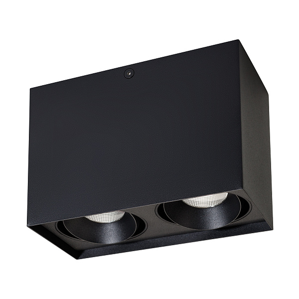 Светильник SP-CUBUS-S100x200BK-2x11W Day White 40deg (Arlight, IP20 Металл, 3 года) Lednikoff