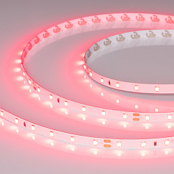 Светодиодная лента RT-A60-8mm 24V Ruby (4.8 W/m, IP20, 5m) (Arlight, -)