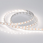 Светодиодная лента RT 2-5000 12V Cx1 Day4000 2x (5060, 360 LED, LUX) (Arlight, 15.6 Вт/м, IP20) Lednikoff