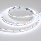 Светодиодная лента RT6-3528-240 24V White6000 4x (1200 LED) (Arlight, 19.2 Вт/м, IP20) Lednikoff