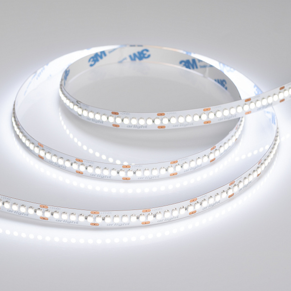 Светодиодная лента RT6-3528-240 24V White6000 4x (1200 LED) (Arlight, 19.2 Вт/м, IP20) Lednikoff