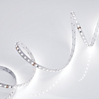 Светодиодная лента RT 2-5000 24V White6000 2x (3528, 600 LED, LUX) (Arlight, 9.6 Вт/м, IP20) Lednikoff