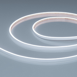 Светодиодная лента герметичная VELA-M240-2.5x6mm 24V White6000 (5 W/m, IP65, 5m) (Arlight, узкая)