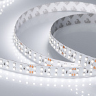 Светодиодная лента RT 2-5000 24V Day4000 2x2 (3528, 1200 LED, CRI98) (Arlight, 19.2 Вт/м, IP20) Lednikoff