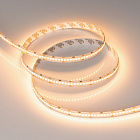 Светодиодная лента RT-A252-10mm 24V Warm2400 (11 W/m, IP20, 2835, 5m) (Arlight, 11 Вт/м, IP20) Lednikoff