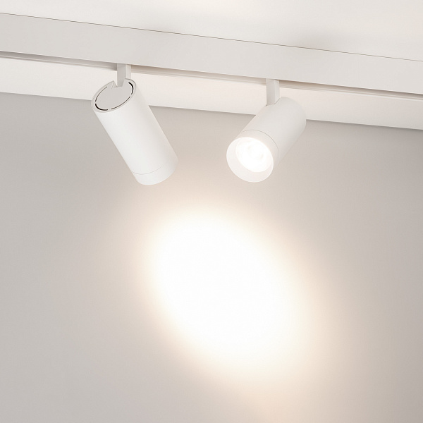 Светильник MAG-ORIENT-SPOT-R65-20W Day4000 (WH, 24 deg, 48V, DALI) (Arlight, IP20 Металл, 5 лет)