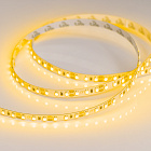 Светодиодная лента RT-A120-8mm 12V Yellow (9.6 W/m, IP20, 2835, 5m) (Arlight, 9.6 Вт/м, IP20) Lednikoff