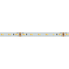 Светодиодная лента RT 6-5000 24V White-MIX 2x (3528, 120 LED/m, LUX) (Arlight, 9.6 Вт/м, IP20) Lednikoff