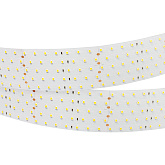 Светодиодная лента RT 2-2500 24V Day4000 5x2 (2835, 875 LED, CRI98) (Arlight, 36 Вт/м, IP20)